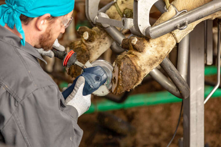 KERBL Klauenschneidscheibe